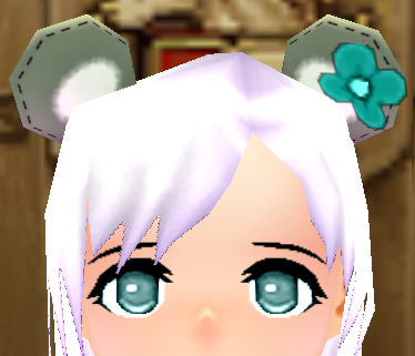 Adorable Raccoon Ears (Female) Equipped Front.png