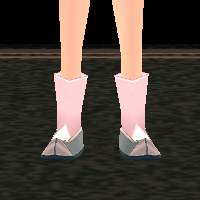 Royal Shoes (F) Equipped Front.png