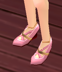 Equipped Witch Scathach Shoes viewed from an angle