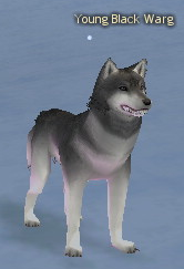 Picture of Young Black Warg