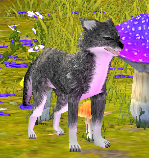 Abyss Dingo.png