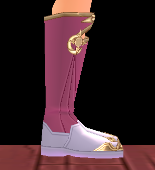 Equipped Astrologer Long Boots (M) viewed from the side