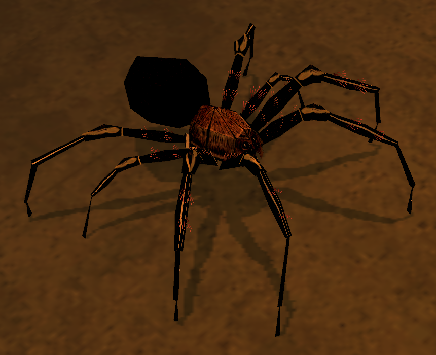 Picture of Black Spider