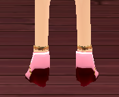 Equipped Witch Scathach Shoes viewed from the back