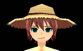 Equipped Straw Hat viewed from the front