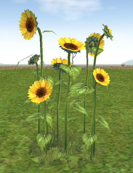 Building preview of Homestead Large Sunflower Patch