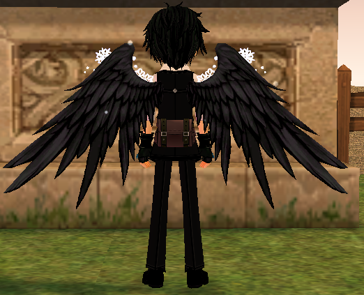 Equipped Black Celtic Wings viewed from the back