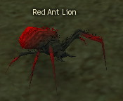 Picture of Red Ant Lion