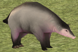 Small-eared Aardvark.png