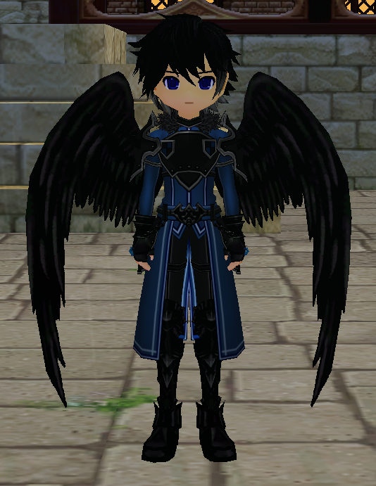 Equipped Black Holy Feather Wings viewed from the front