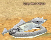Picture of Gray Horn Cobra