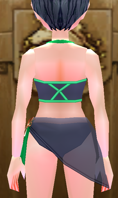 Equipped Swimsuit (Side-Tie) (F) viewed from the back