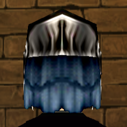 Equipped Guardian Helm viewed from the back with the visor down