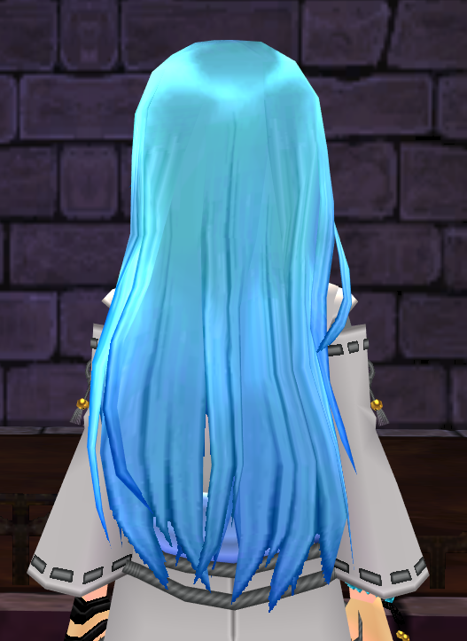 Equipped Shaman Wig (M) viewed from the back