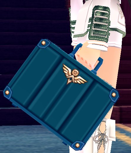 Equipped Pilot Briefcase