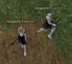 Picture of Hobgoblin Exorcist (Raft) (Weak)