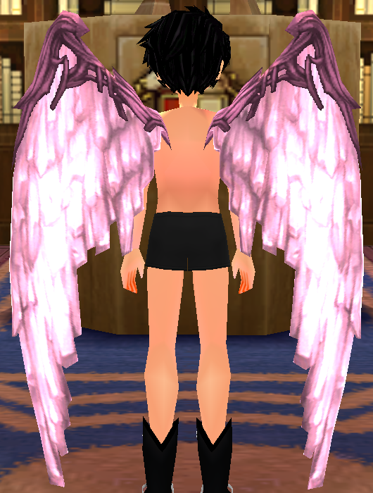Equipped Pink Diamond Wings viewed from the back