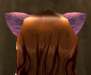 Equipped Cat Ear Headband viewed from the back