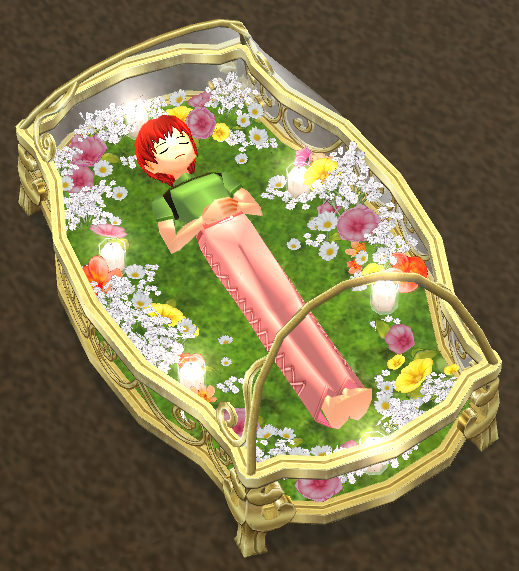 Seated preview of Floral Glass Coffin