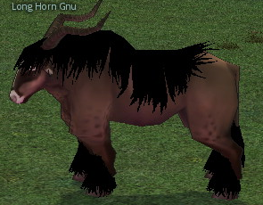 Picture of Long Horn Gnu