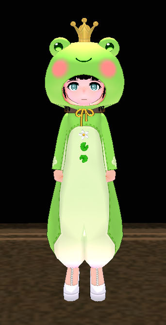 Equipped Magical Frog Robe viewed from the front with the hood up