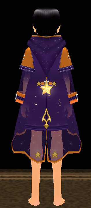 Equipped Night Mage Robe viewed from the back with the hood down