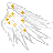 Icon of White Star-dusted Wings