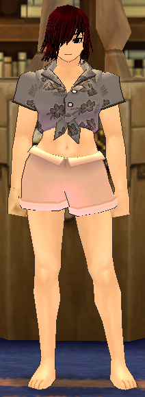 Premium Newbie Summer Ensemble (Giant) Equipped Female Front.png