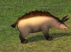 Maned Aardvark.png