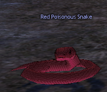 Picture of Red Poisonous Snake