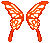 Icon of Sunset Cutiefly Wings