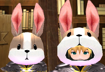 Rabbit Mask Equipped Front.png