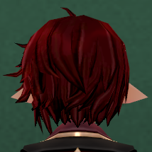 Equipped Majestic Knight Wig (M) viewed from the back