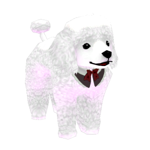 Mini White Poodle Pet.png