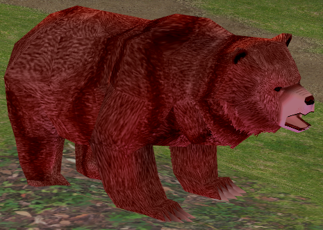 Picture of Red Bear