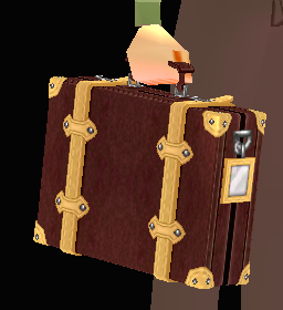Equipped Traveler's Suitcase