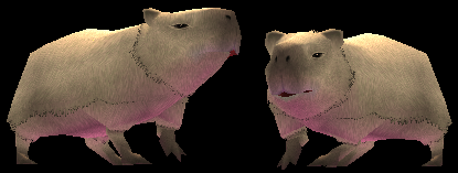 Capybara.png