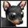 Pet Miniature Pinscher.png