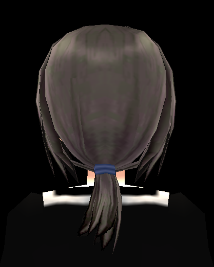 Equipped Oshutoru's Wig viewed from the back