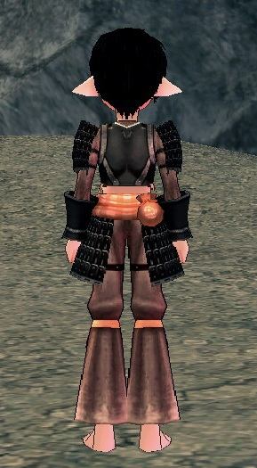 Equipped Male Lamellar Warrior Armor viewed from the back