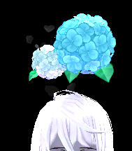 Clear Hydrangea Halo Equipped Front.png