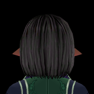 Equipped Shadow Brigade Wig (M) viewed from the back