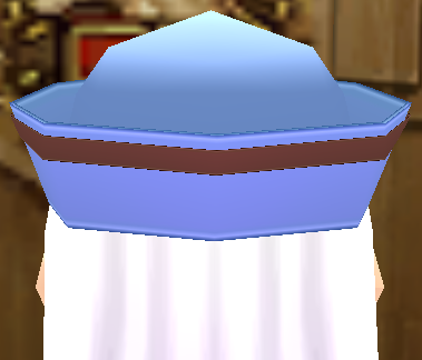 Equipped Sailor Hat (F) viewed from the back