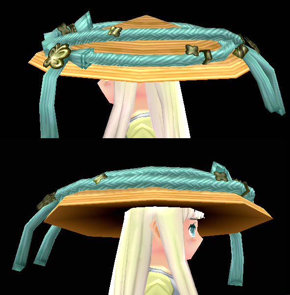 Equipped Bamboo Hat viewed from the side