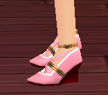 Equipped Witch Scathach Shoes viewed from the side