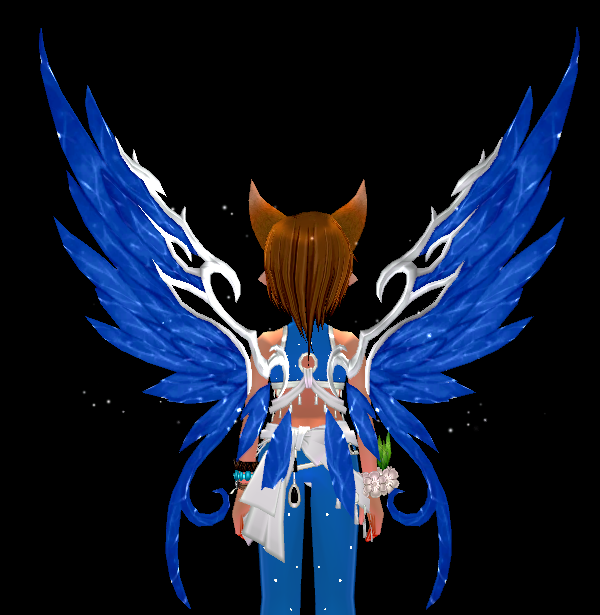 Equipped Sapphire Ocean Wings viewed from the back