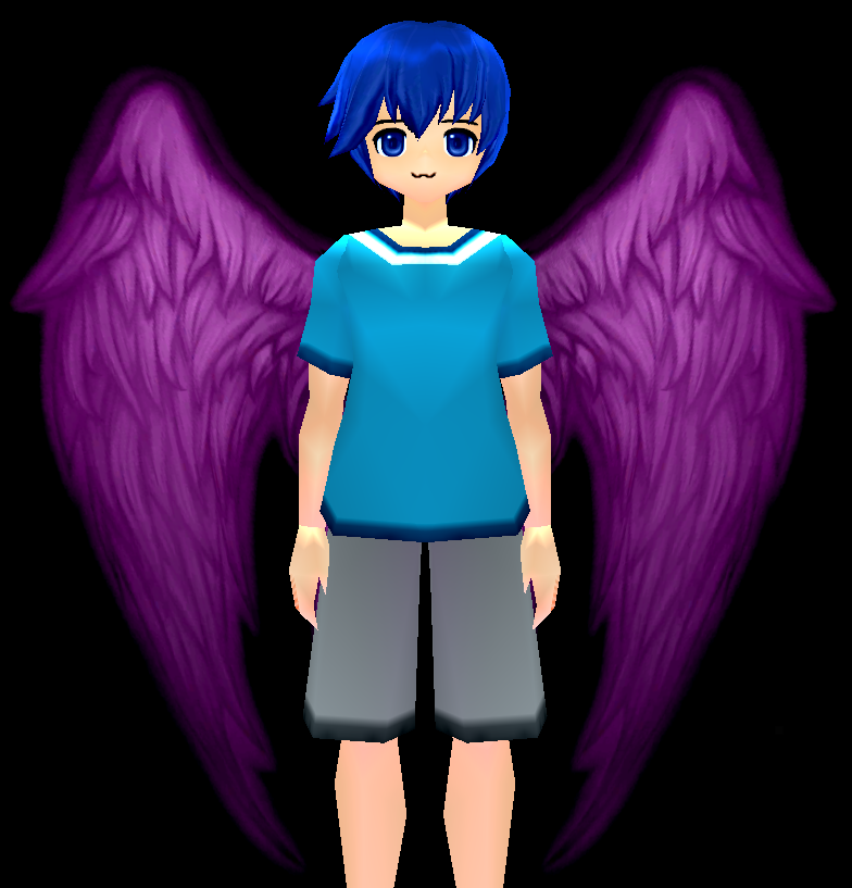 Violet Flame Wings Equipped Front.png