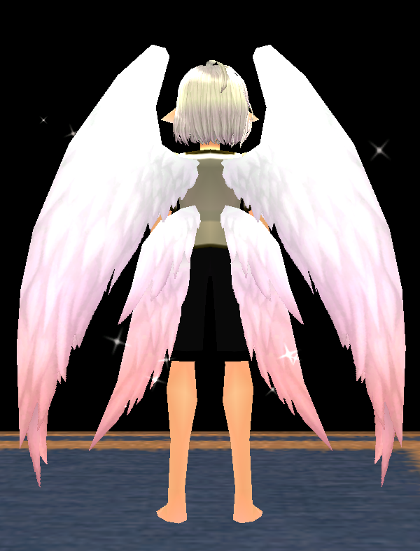 Equipped Festia Wings viewed from the back