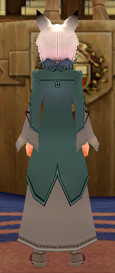 Equipped Male Karis Wizard Set viewed from the back