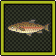 Rainbow Trout Journal.png